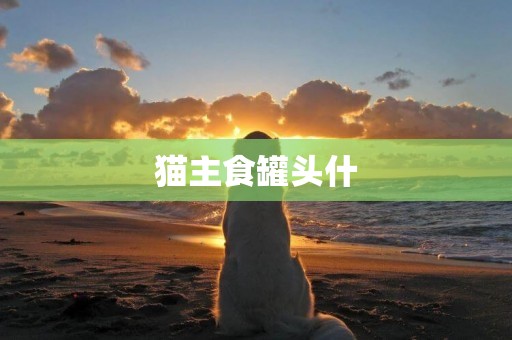 貓主食罐頭什