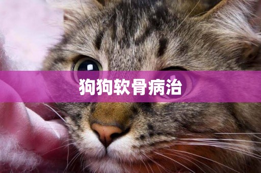 狗狗軟骨病治