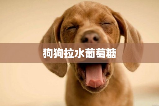 狗狗拉水葡萄糖