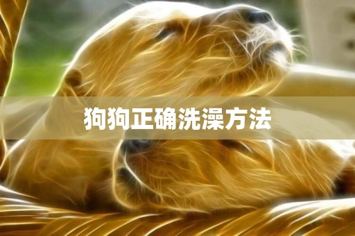 狗狗正確洗澡方法