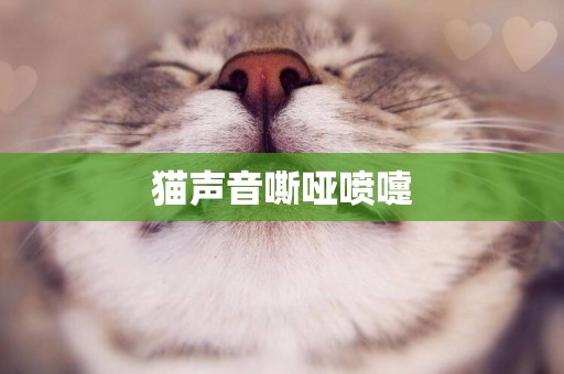 貓聲音嘶啞噴嚏