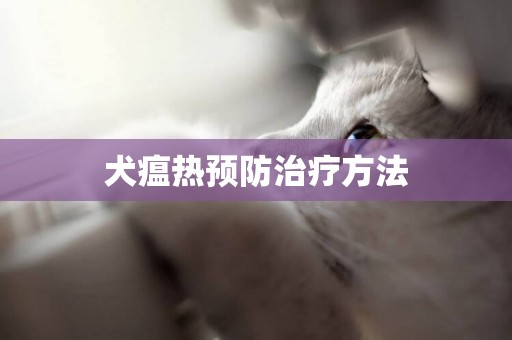 犬瘟熱預防治療方法