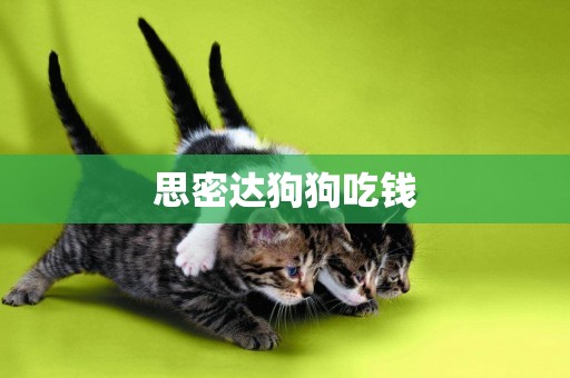 思密達狗狗吃錢