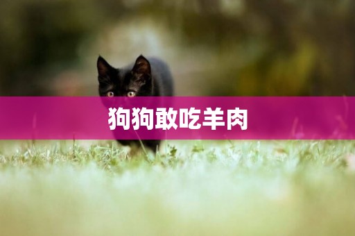狗狗敢吃羊肉
