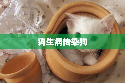 狗生病傳染狗