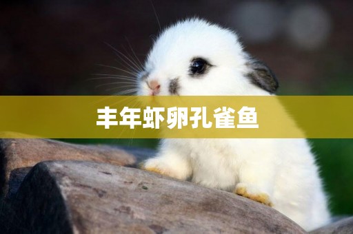 豐年蝦卵孔雀魚