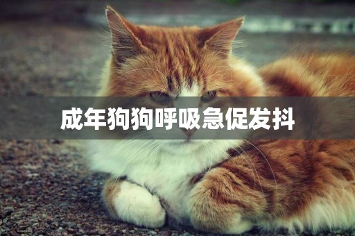 成年狗狗呼吸急促發抖