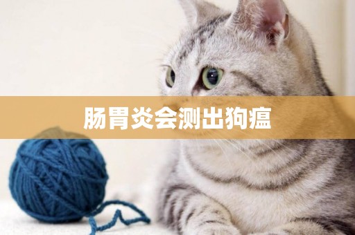 腸胃炎會測出狗瘟