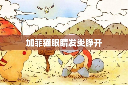加菲貓眼睛發炎睜開