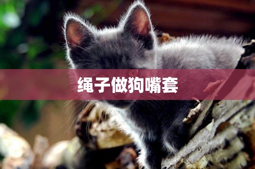 繩子做狗嘴套