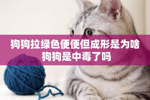 狗狗拉綠色便便但成形是為啥 狗狗是中毒了嗎