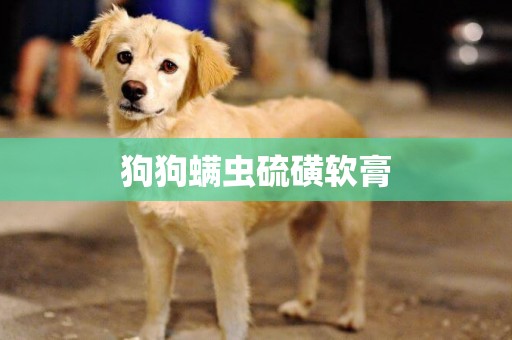 狗狗螨蟲硫磺軟膏