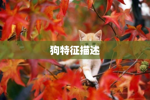 狗特征描述