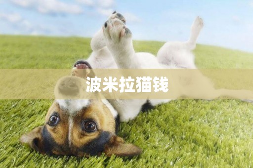 波米拉貓錢