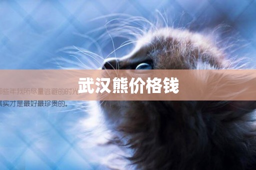 武漢熊價格錢