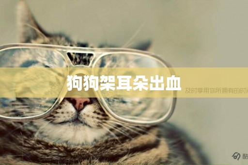 狗狗架耳朵出血