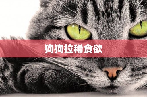 狗狗拉稀食欲
