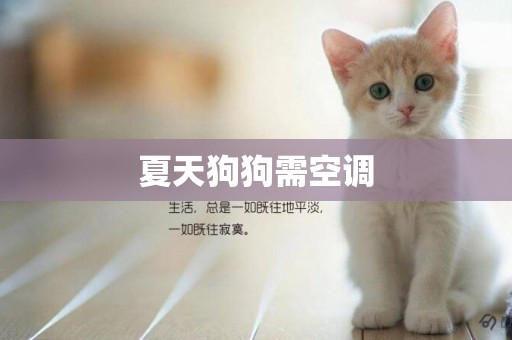 夏天狗狗需空調