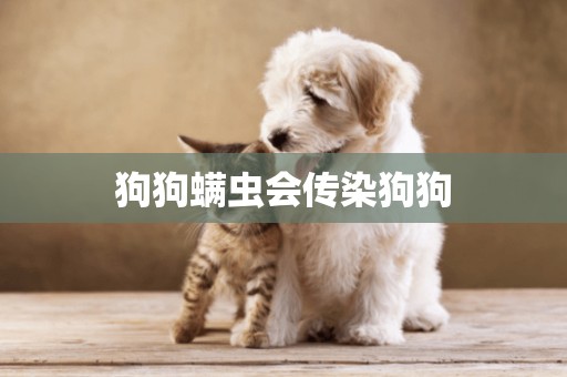 狗狗螨蟲會傳染狗狗
