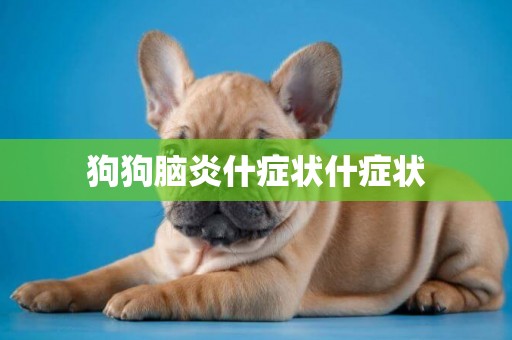狗狗腦炎什癥狀什癥狀