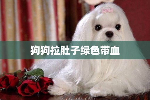 狗狗拉肚子綠色帶血