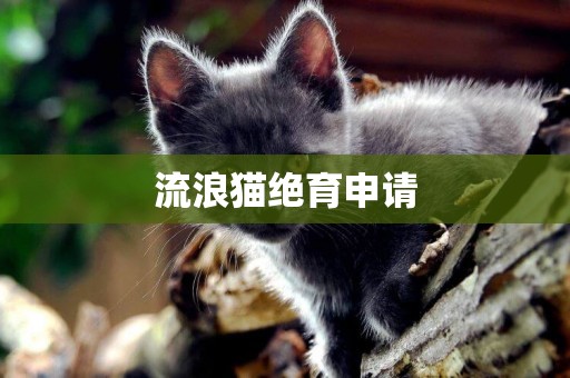 流浪貓絕育申請