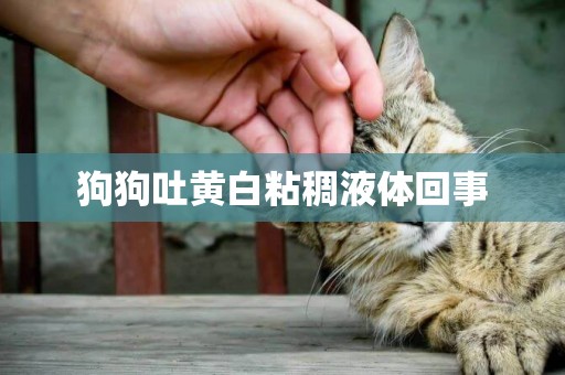 狗狗吐黃白粘稠液體回事