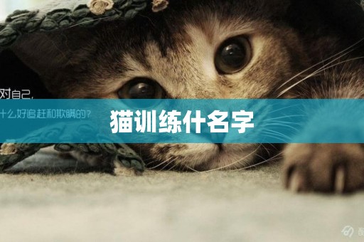 貓訓練什名字