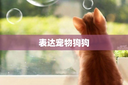 表達寵物狗狗