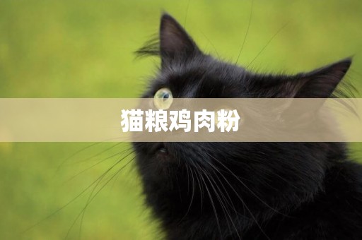 貓糧雞肉粉