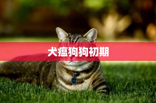 犬瘟狗狗初期