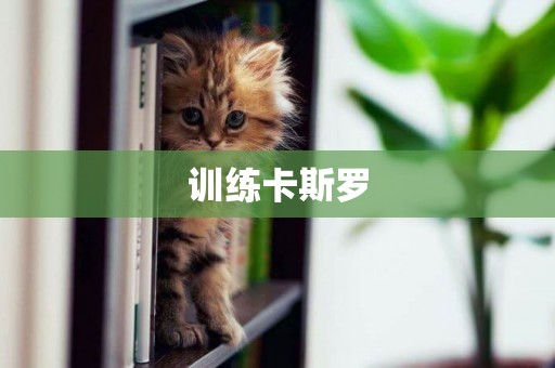 訓練卡斯羅