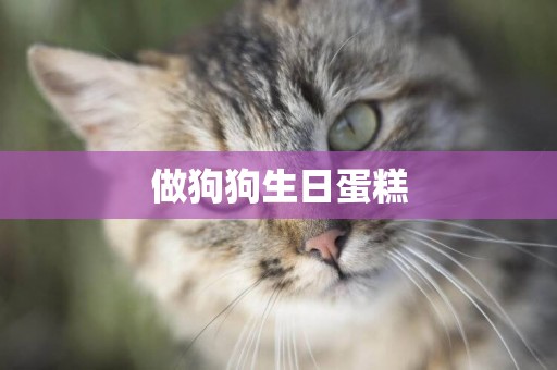 做狗狗生日蛋糕