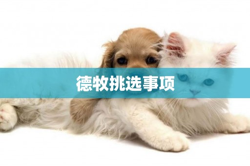 德牧挑選事項