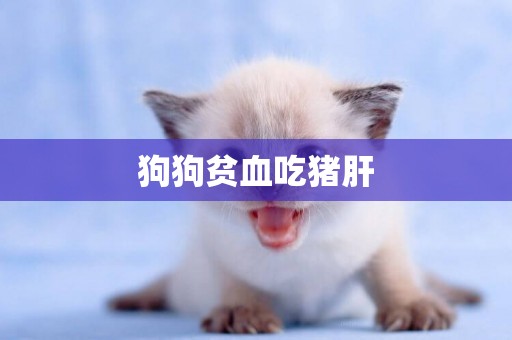 狗狗貧血吃豬肝