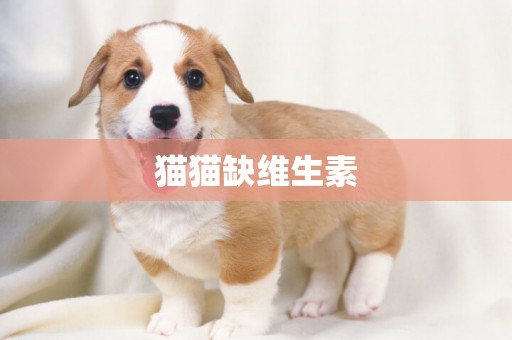 貓貓缺維生素