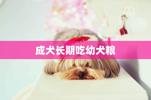成犬長期吃幼犬糧