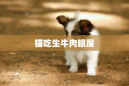 貓吃生牛肉眼屎