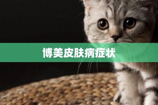 博美皮膚病癥狀
