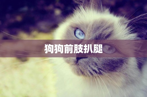 狗狗前肢扒腿
