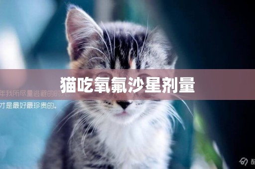 貓吃氧氟沙星劑量