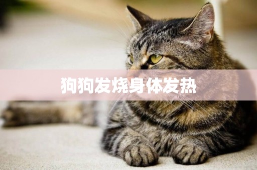 狗狗發燒身體發熱