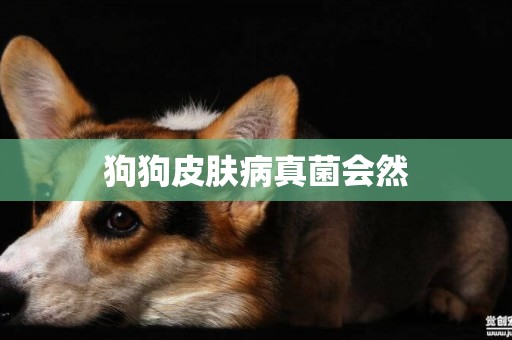 狗狗皮膚病真菌會然