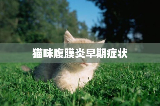 貓咪腹膜炎早期癥狀