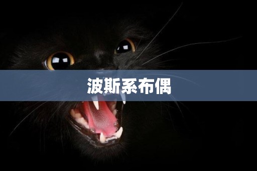 波斯系布偶