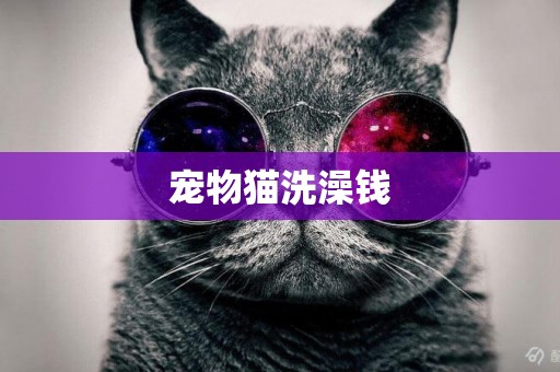 寵物貓洗澡錢