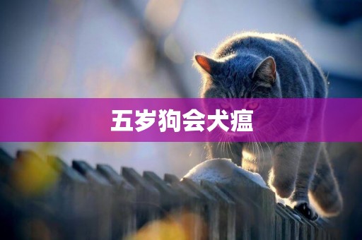 五歲狗會犬瘟