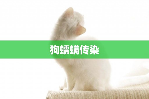 狗蠕螨傳染
