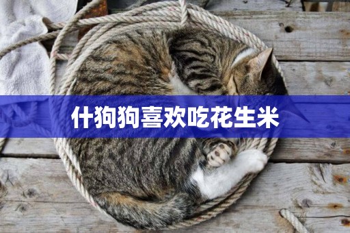 什狗狗喜歡吃花生米