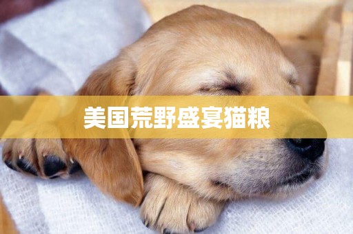 美國荒野盛宴貓糧